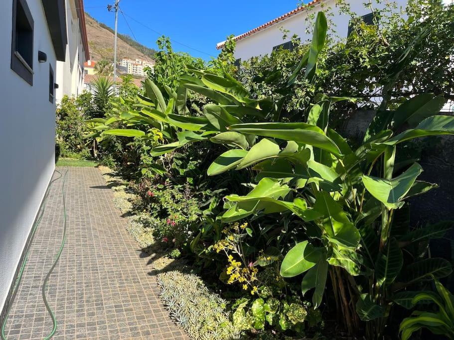 Moradia Com Piscina No Canico Dış mekan fotoğraf